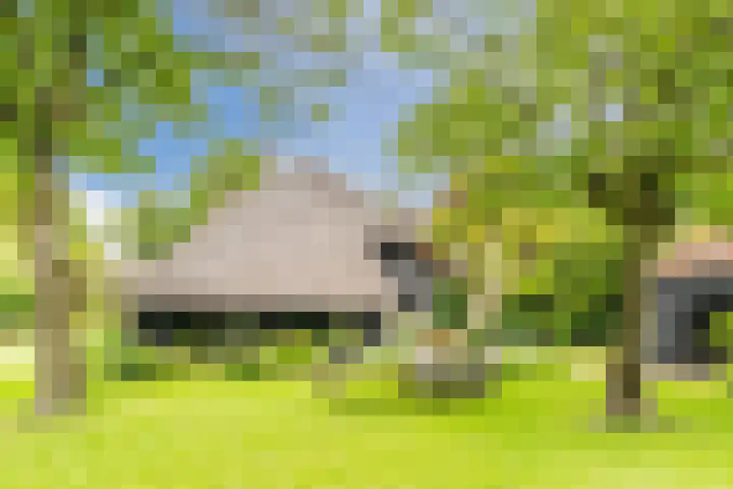 Lariestraat 17 Heeswijk-Dinther thumbnail 52