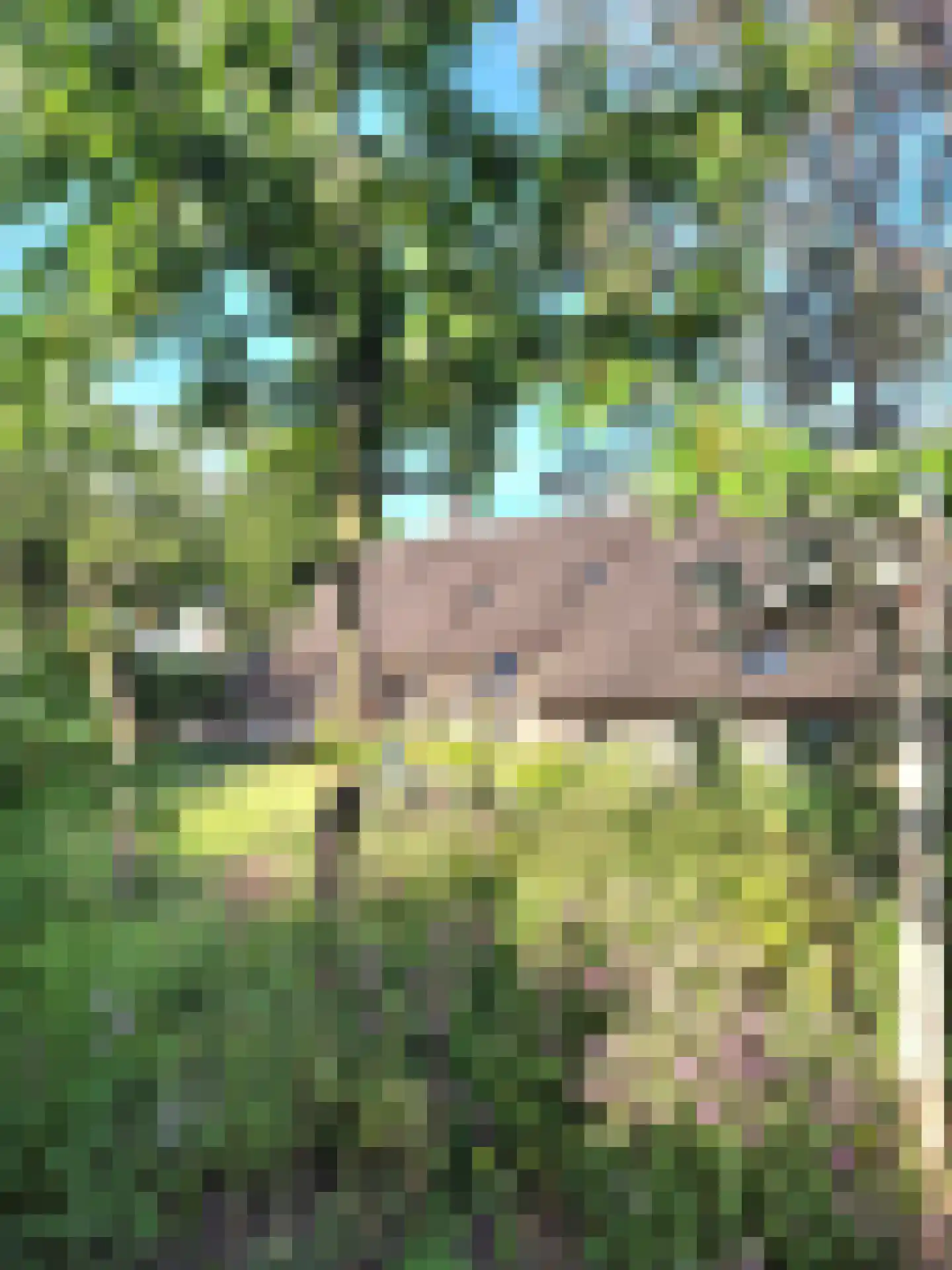 Lariestraat 17 Heeswijk-Dinther thumbnail 56