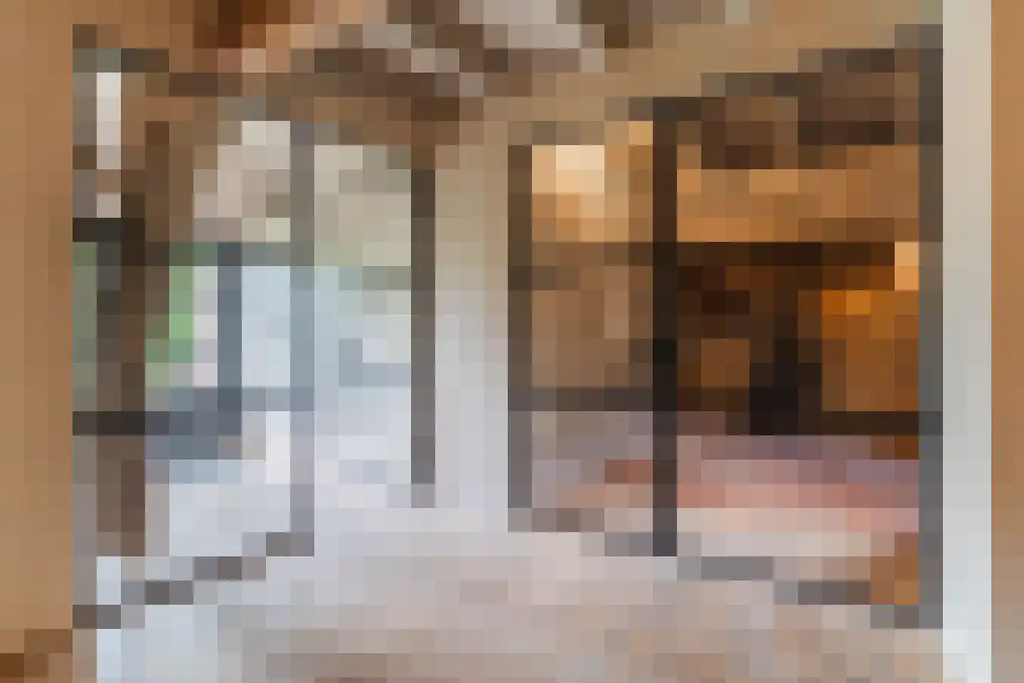 Lariestraat 17 Heeswijk-Dinther thumbnail 6