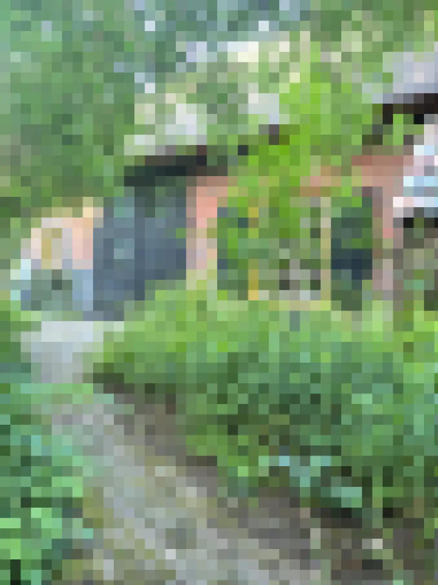 Lariestraat 17 Heeswijk-Dinther thumbnail 62