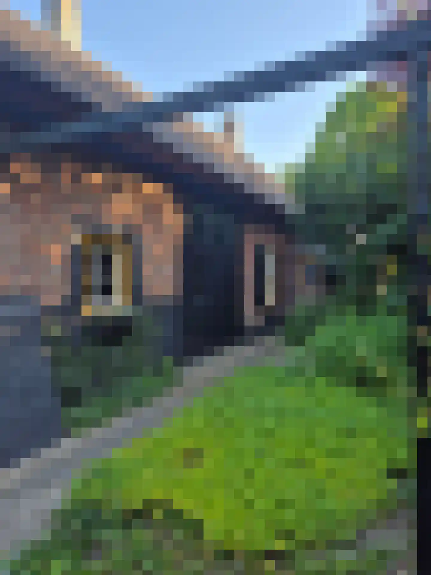 Lariestraat 17 Heeswijk-Dinther thumbnail 63