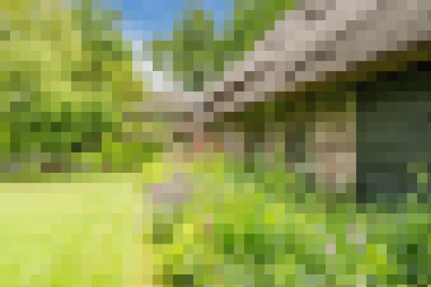 Lariestraat 17 Heeswijk-Dinther thumbnail 64