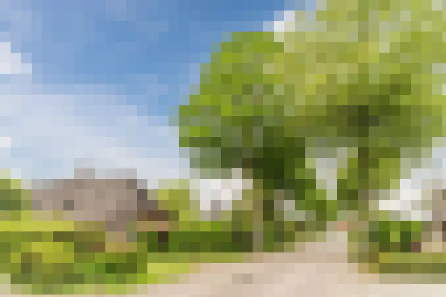 Lariestraat 17 Heeswijk-Dinther thumbnail 67