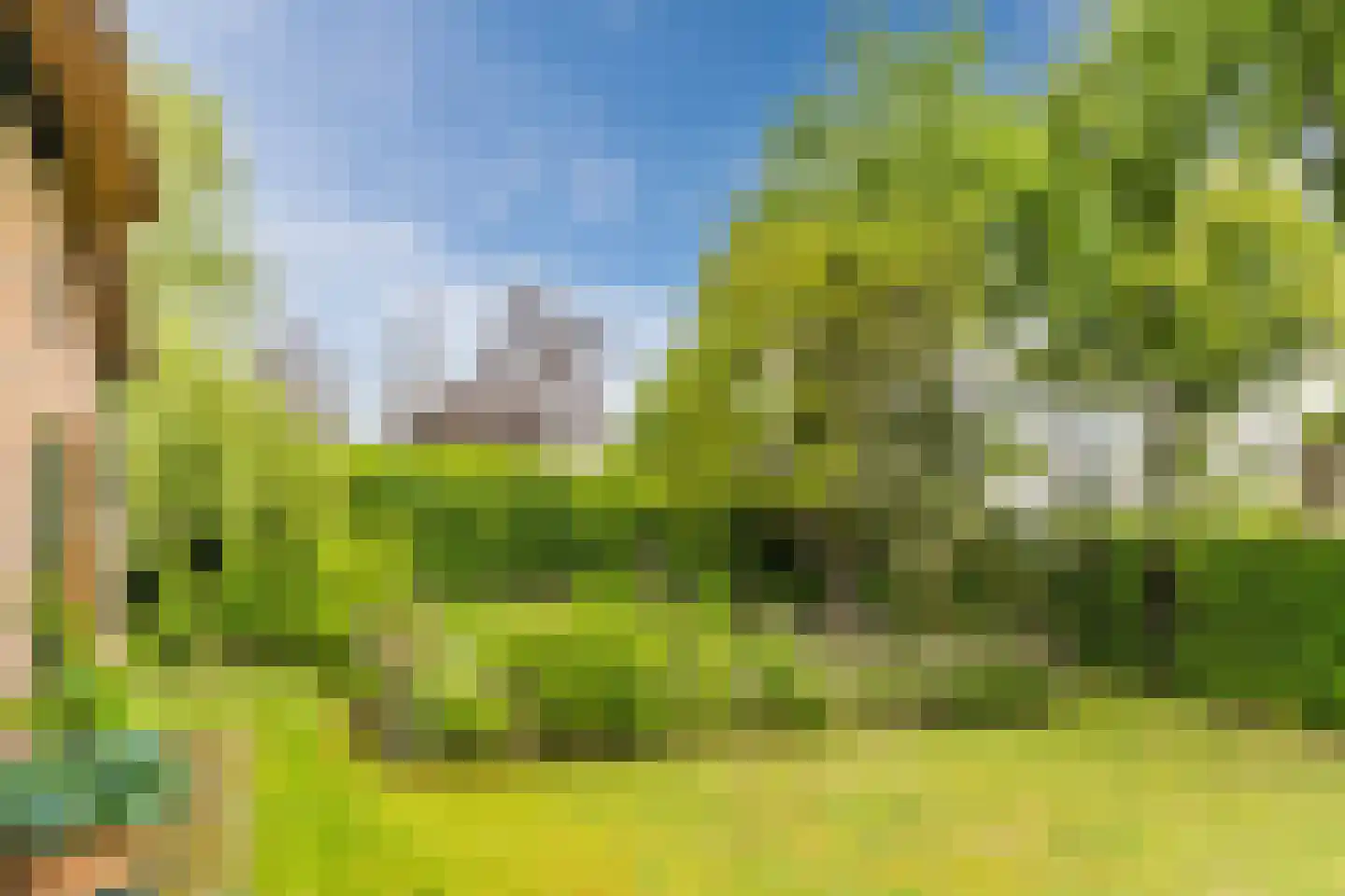 Lariestraat 17 Heeswijk-Dinther thumbnail 68