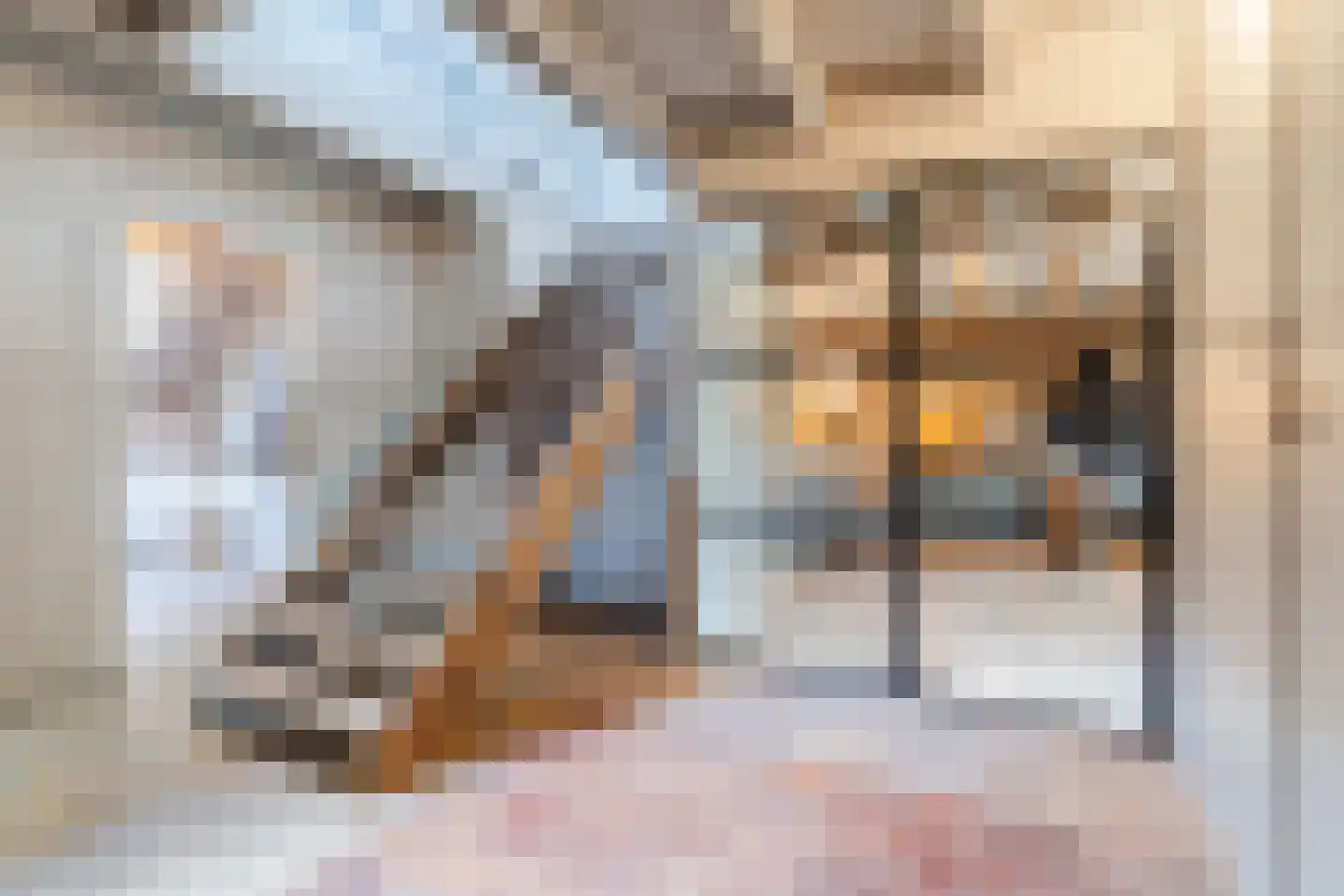 Lariestraat 17 Heeswijk-Dinther thumbnail 7