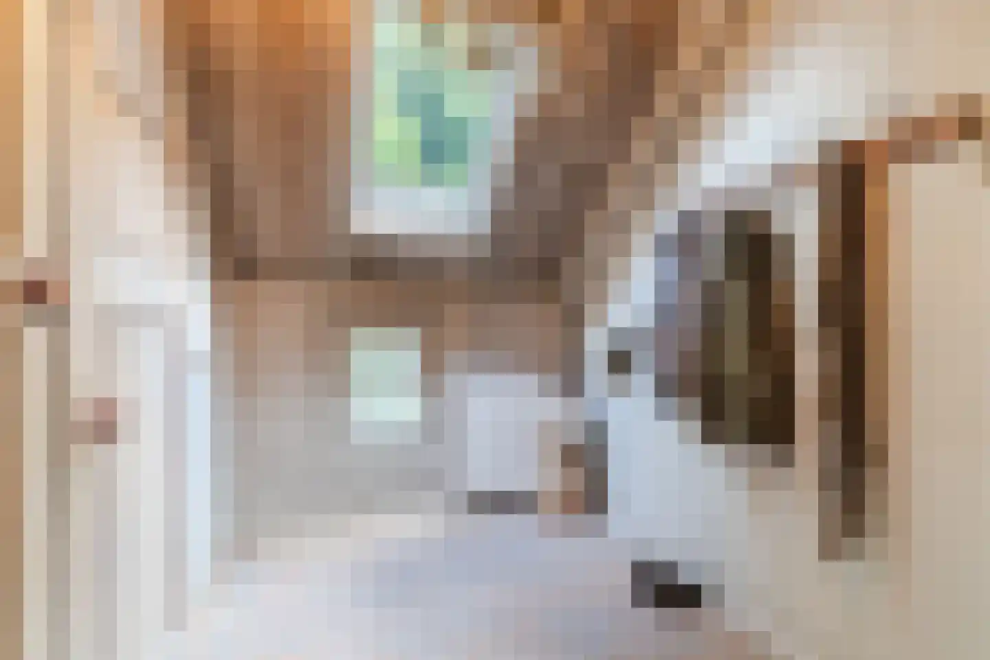 Lariestraat 17 Heeswijk-Dinther thumbnail 8