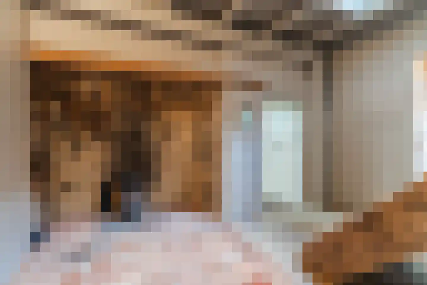 Lariestraat 17 Heeswijk-Dinther thumbnail 9