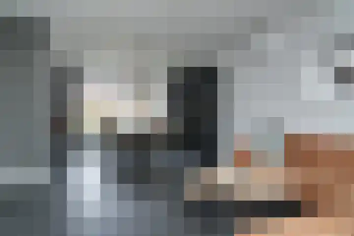 Lariestraat 3 Gemonde thumbnail 10