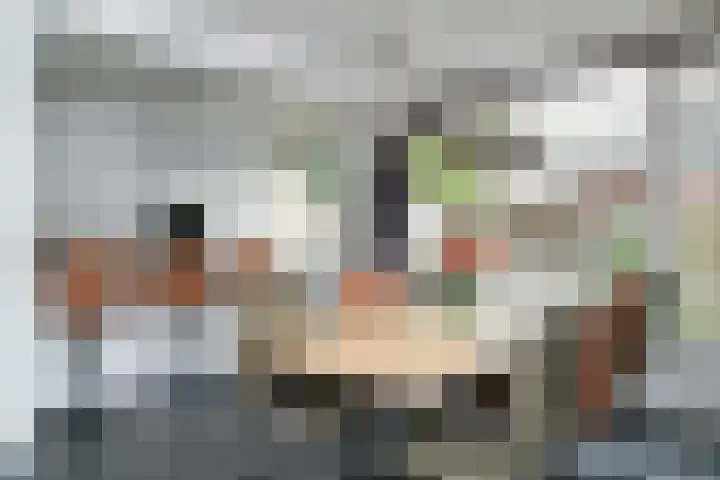 Lariestraat 3 Gemonde thumbnail 11