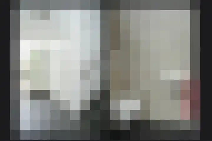 Lariestraat 3 Gemonde thumbnail 12