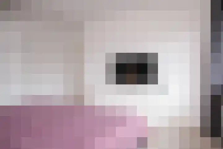 Lariestraat 3 Gemonde thumbnail 15