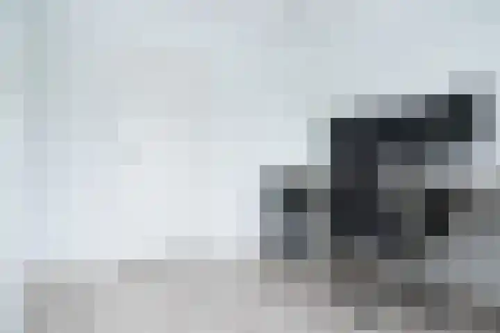 Lariestraat 3 Gemonde thumbnail 20