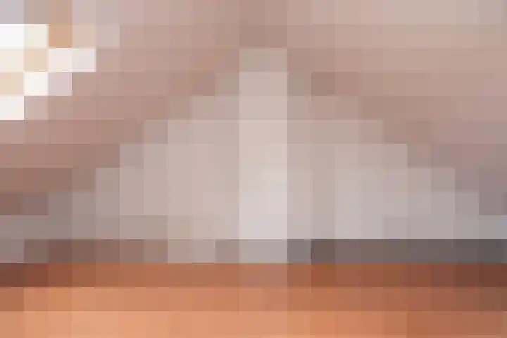 Lariestraat 3 Gemonde thumbnail 21