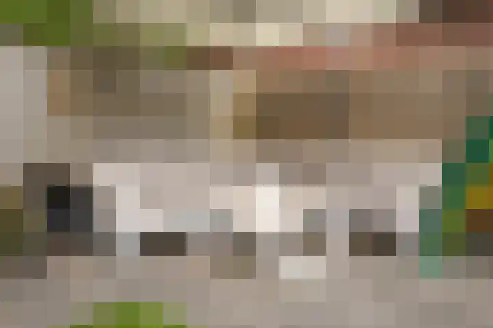 Lariestraat 3 Gemonde thumbnail 24