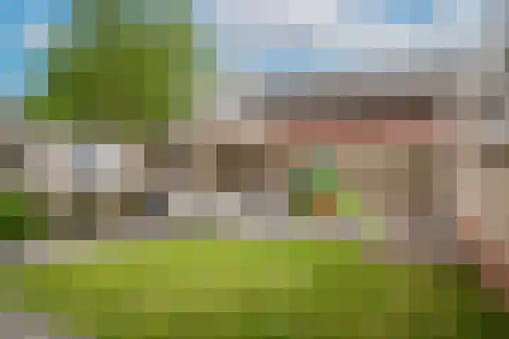 Lariestraat 3 Gemonde thumbnail 27