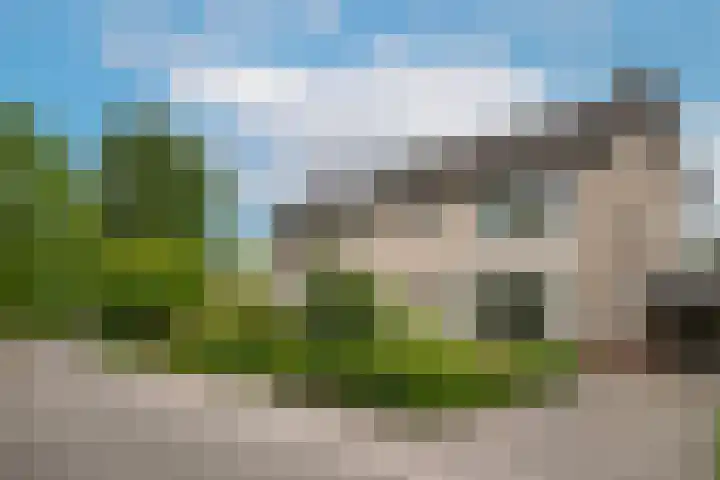 Lariestraat 3 Gemonde thumbnail 28