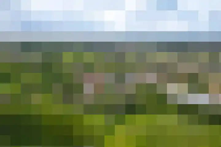 Lariestraat 3 Gemonde thumbnail 32