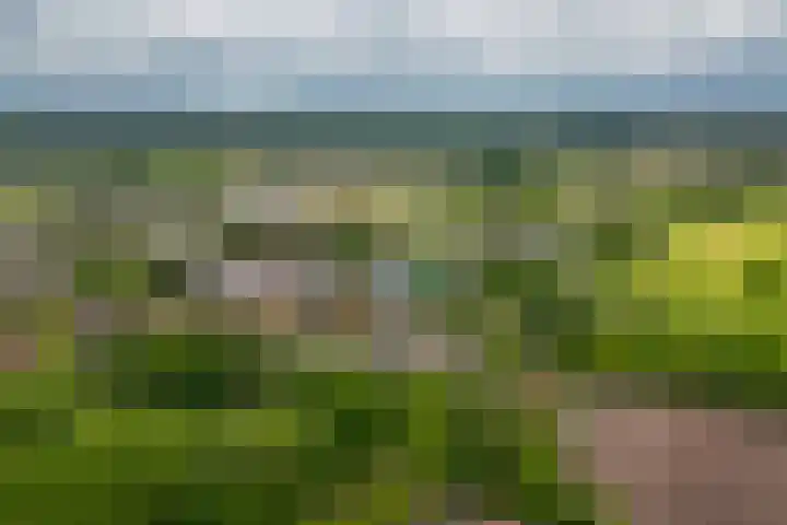 Lariestraat 3 Gemonde thumbnail 33