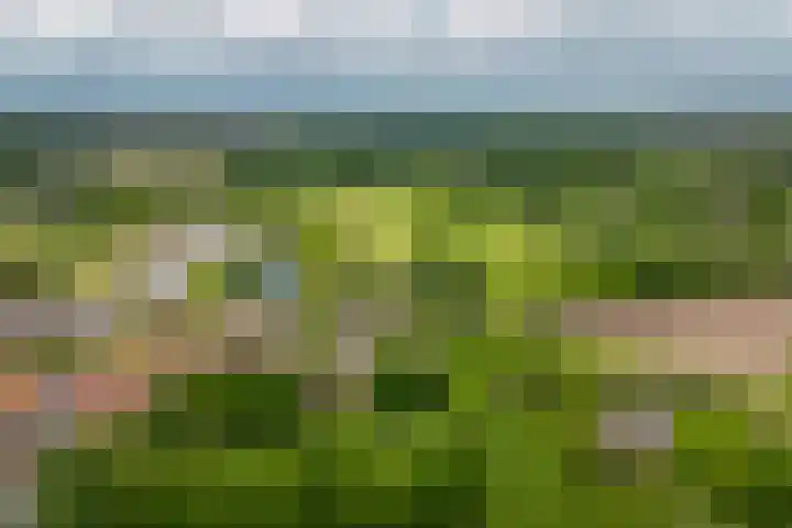 Lariestraat 3 Gemonde thumbnail 34