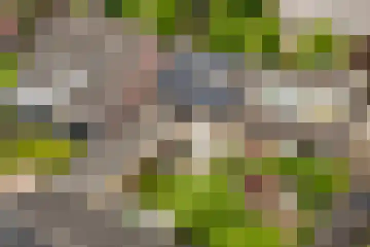 Lariestraat 3 Gemonde thumbnail 35