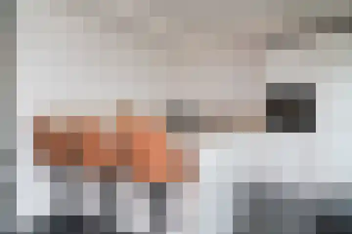 Lariestraat 3 Gemonde thumbnail 5