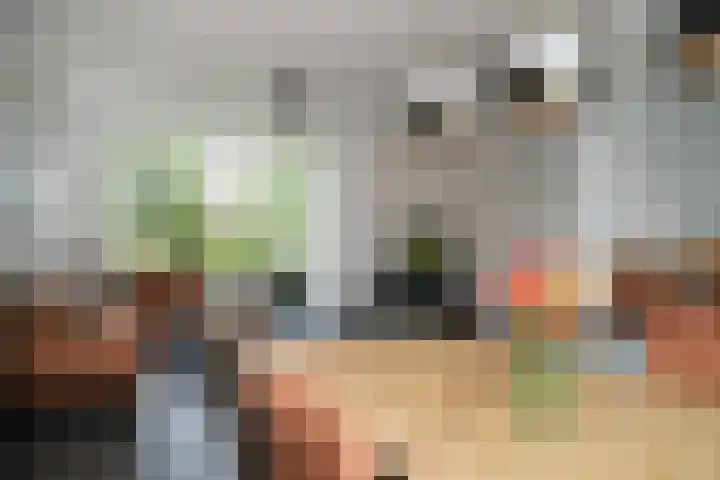 Lariestraat 3 Gemonde thumbnail 8
