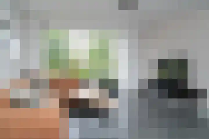 Lariestraat 3 Gemonde thumbnail 9