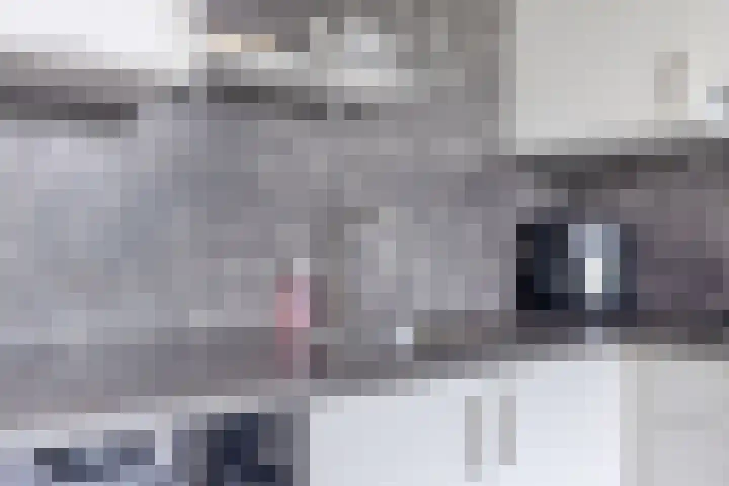 Lariks 2 Best thumbnail 15