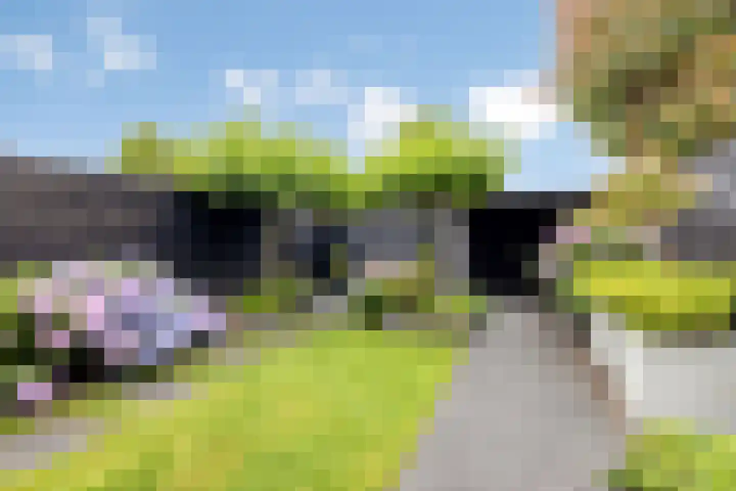 Lariks 2 Best thumbnail 31