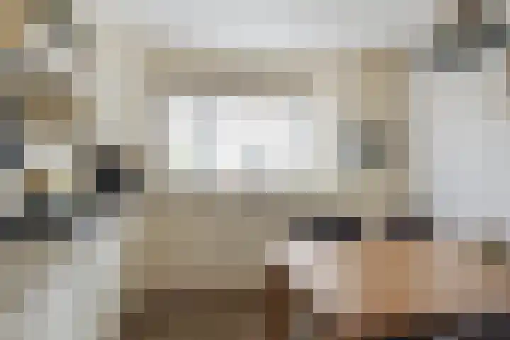 Lariks 37 Best thumbnail 11