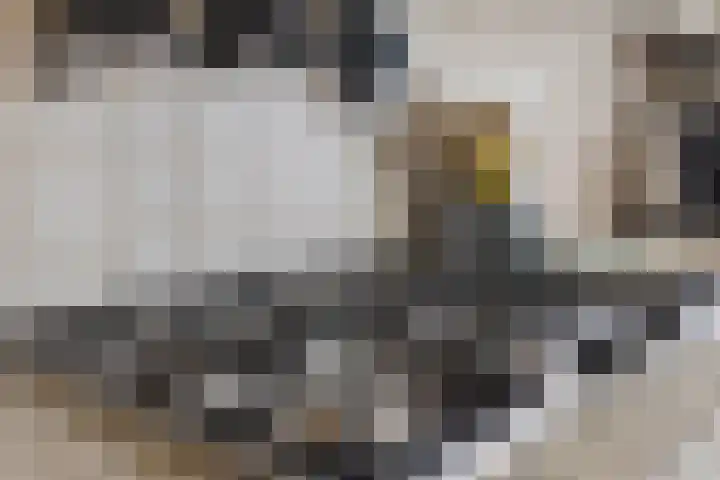 Lariks 37 Best thumbnail 13