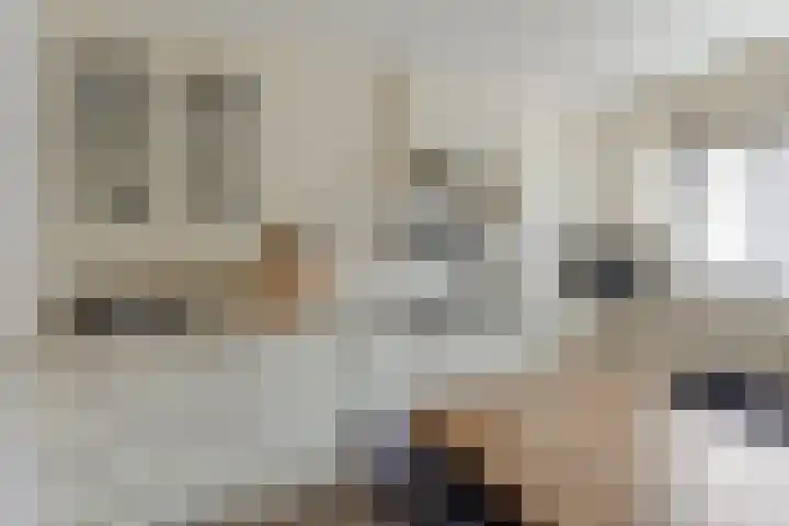 Lariks 37 Best thumbnail 14