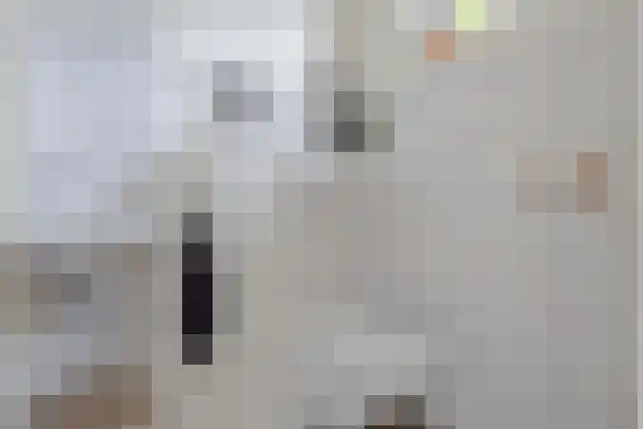 Lariks 37 Best thumbnail 15