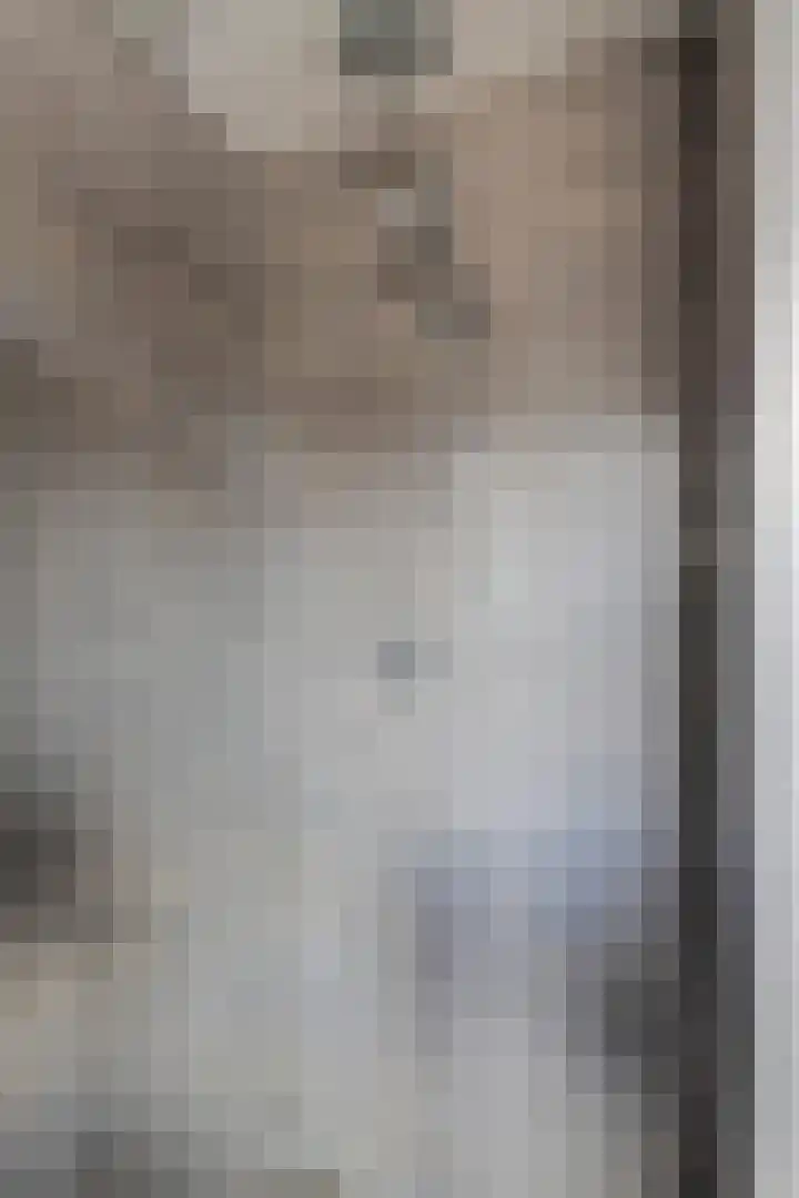 Lariks 37 Best thumbnail 19