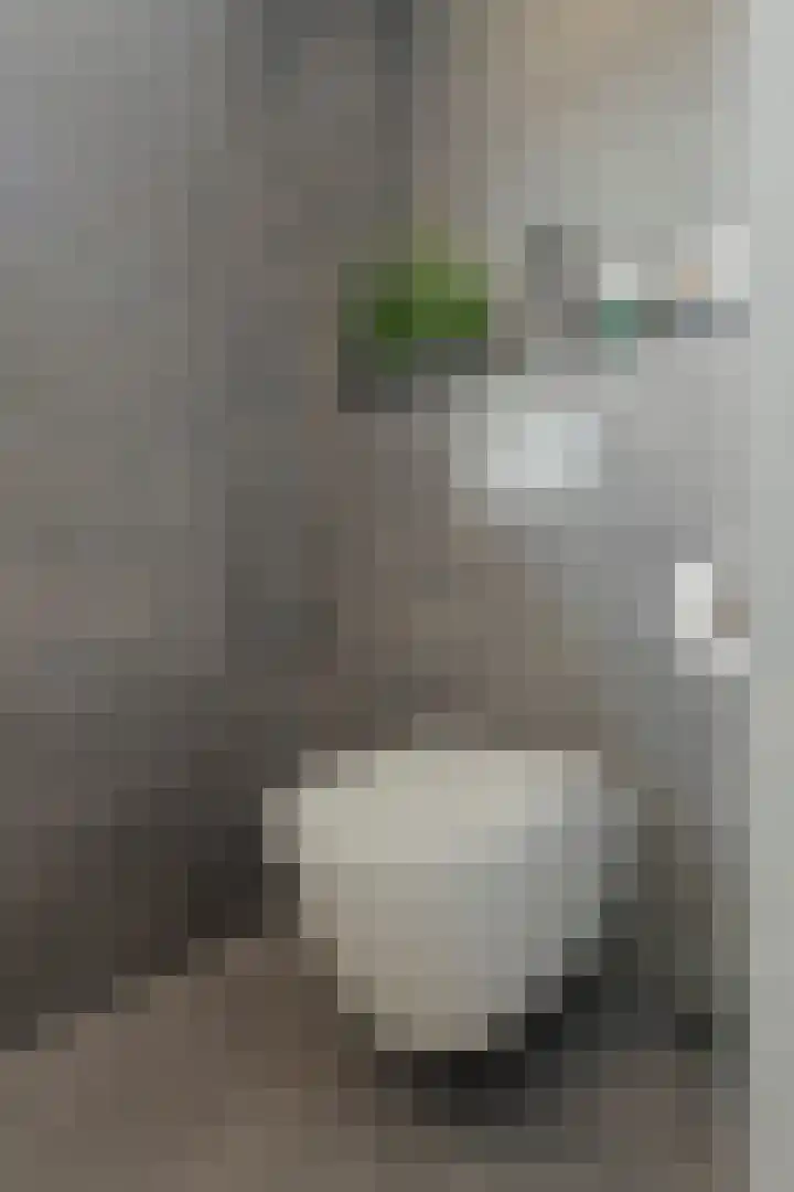 Lariks 37 Best thumbnail 20