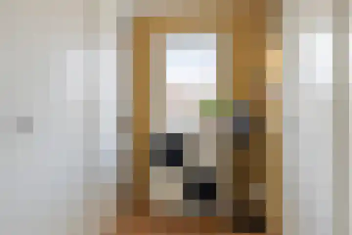 Lariks 37 Best thumbnail 23