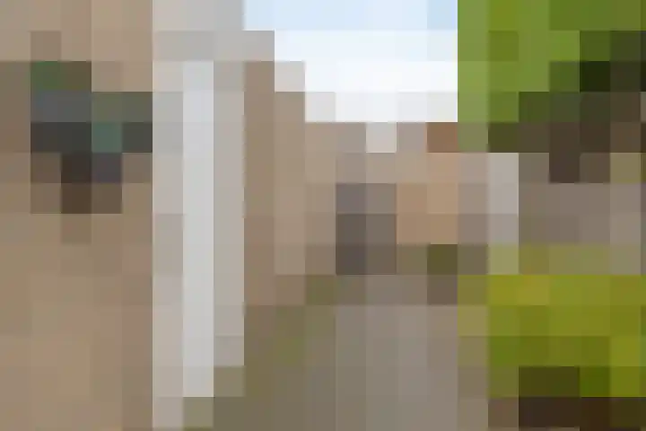 Lariks 37 Best thumbnail 29
