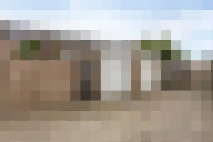 Lariks 37 Best thumbnail 30