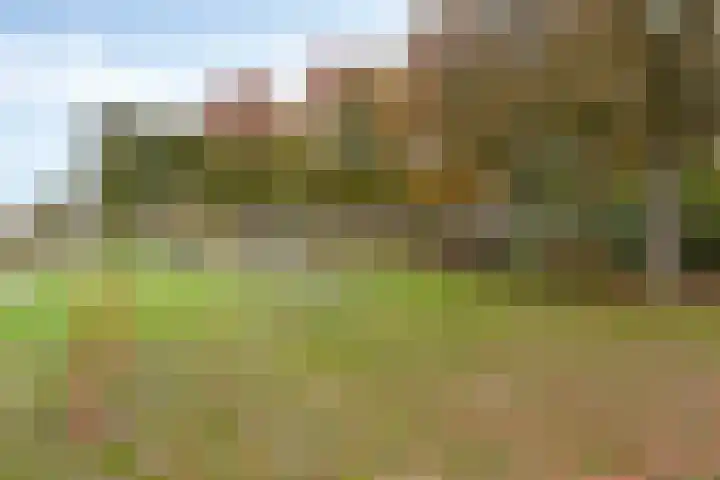 Lariks 37 Best thumbnail 31