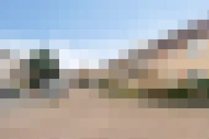Lariks 37 Best thumbnail 4