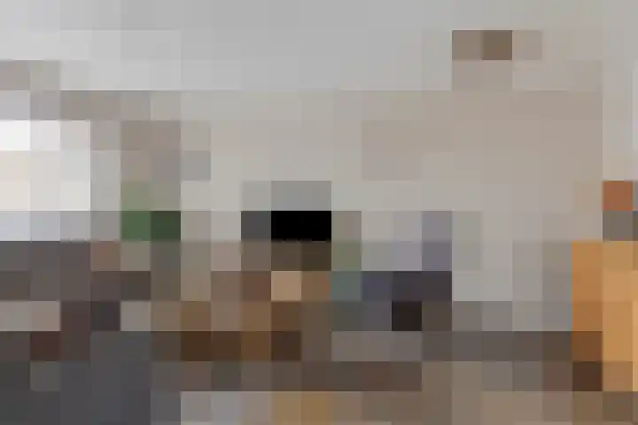 Lariks 37 Best thumbnail 7