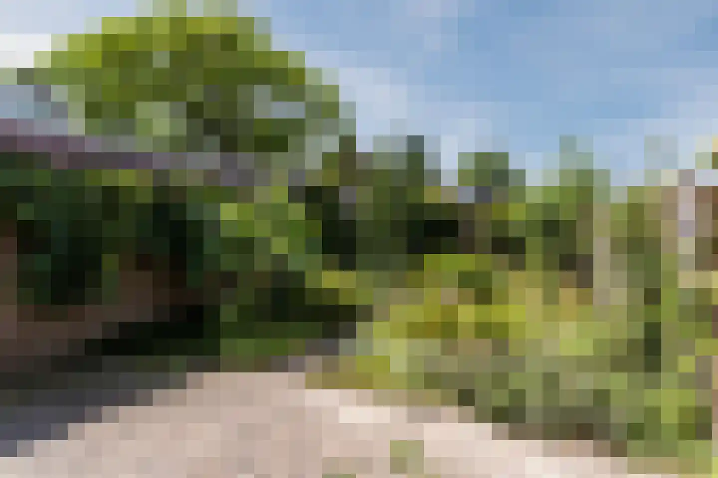 Lariksbeek 27 Veldhoven thumbnail 37