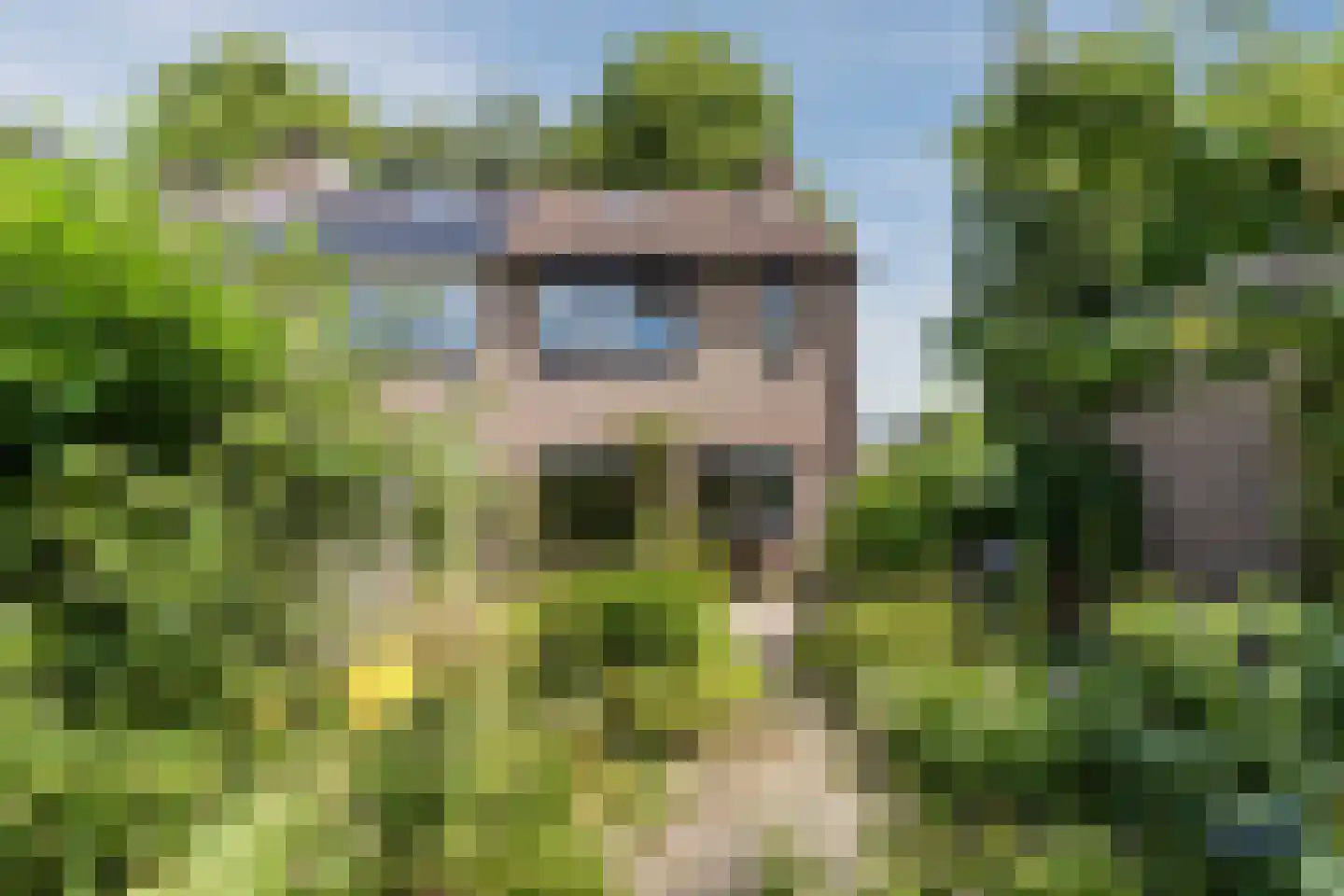 Lariksbeek 27 Veldhoven thumbnail 39