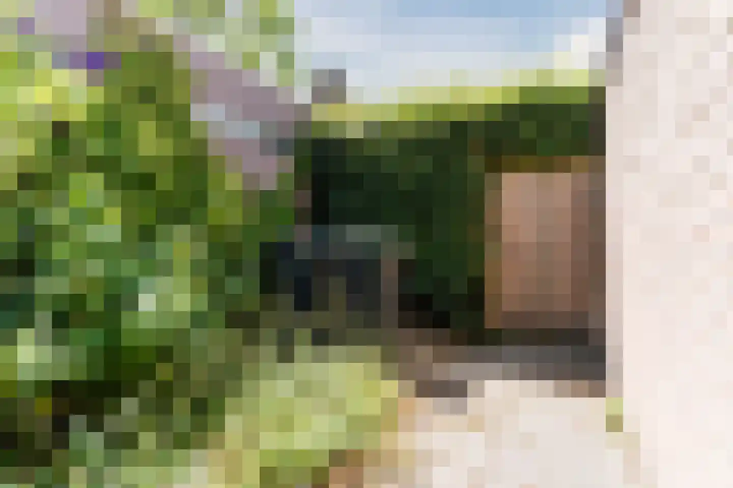 Lariksbeek 27 Veldhoven thumbnail 41