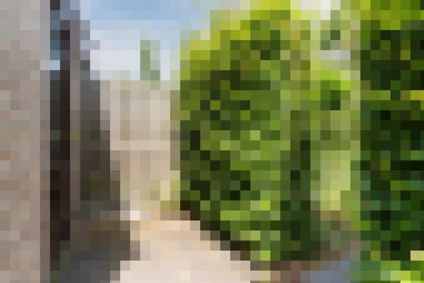 Lariksbeek 27 Veldhoven thumbnail 42
