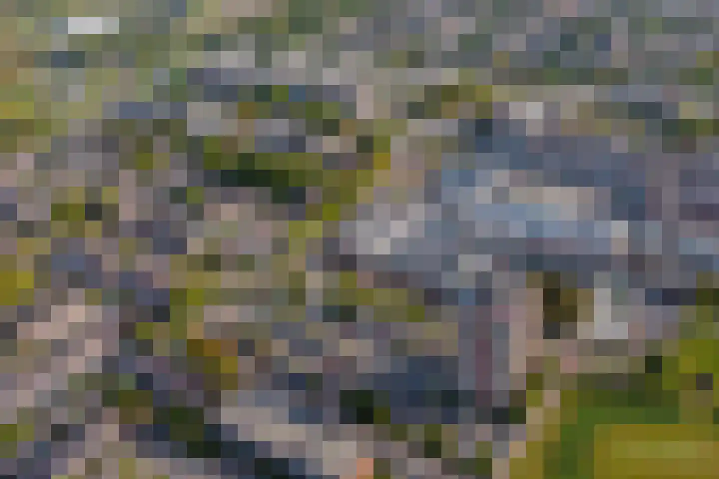 Lariksbeek 52 Veldhoven thumbnail 37