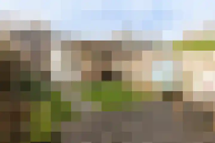 Lariksbeek 64 Veldhoven thumbnail 30
