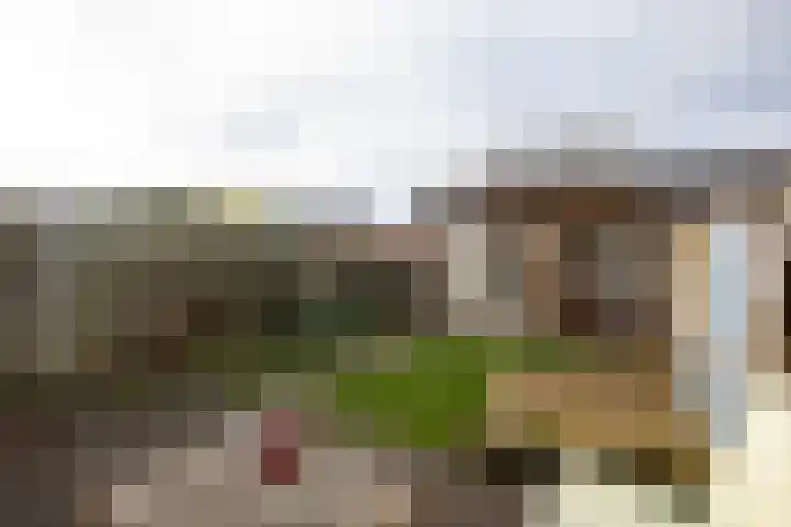 Lariksbeek 64 Veldhoven thumbnail 33