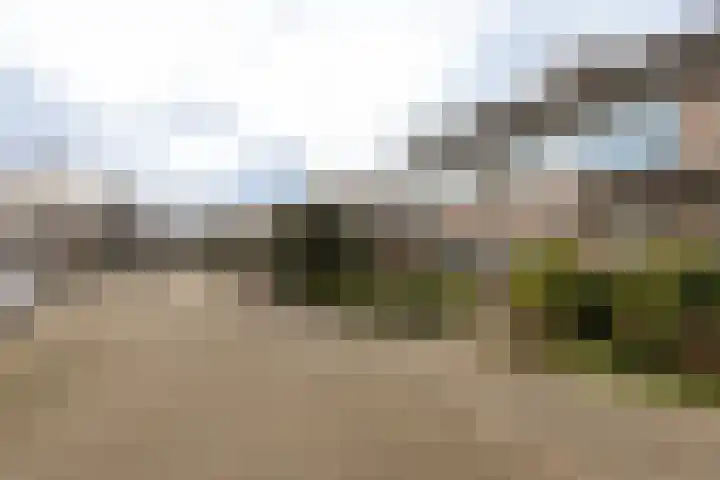Lariksbeek 64 Veldhoven thumbnail 36
