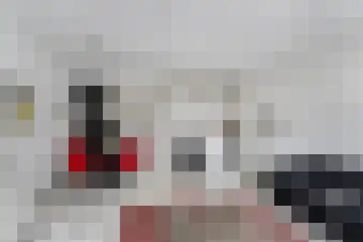 Lariksdreef 33 Vlaardingen thumbnail 14